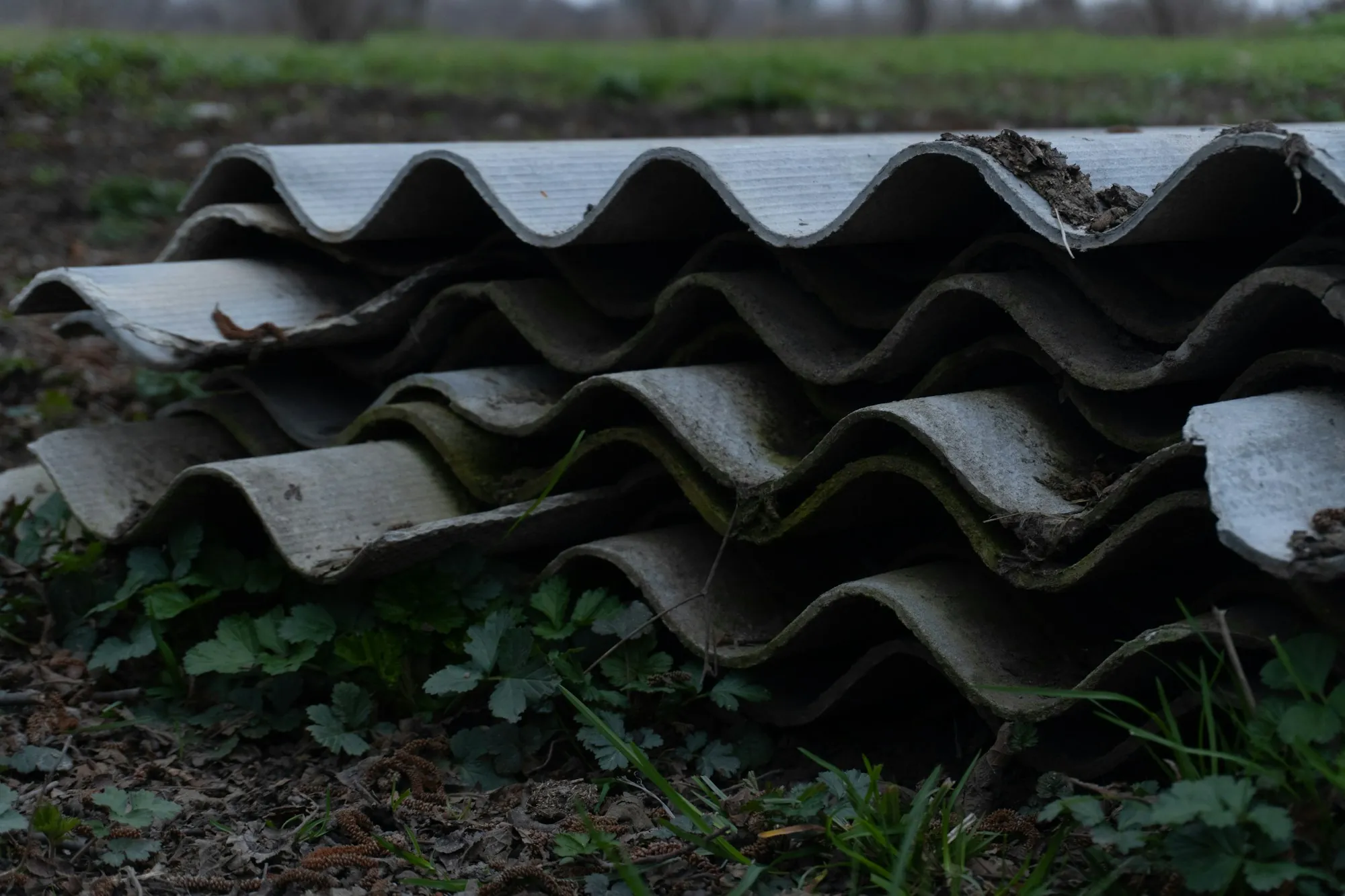 Old corrugated cement roofing sheets